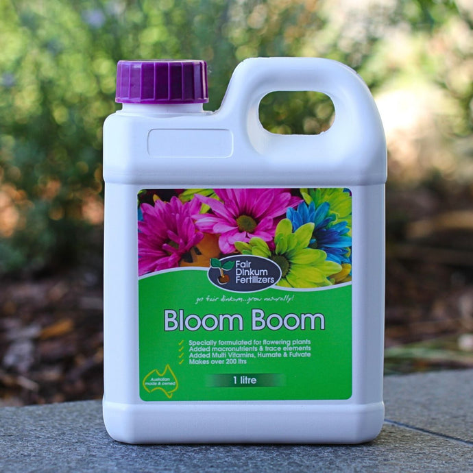 Bloom Boom – Dinh Dưỡng Hoàn Hảo Cho Hoa Đẹp, Lâu Tàn!