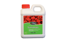🍅 Tomatoes – Bí Quyết Cho Trái Cà Chua To, Ngọt & Khỏe Mạnh!